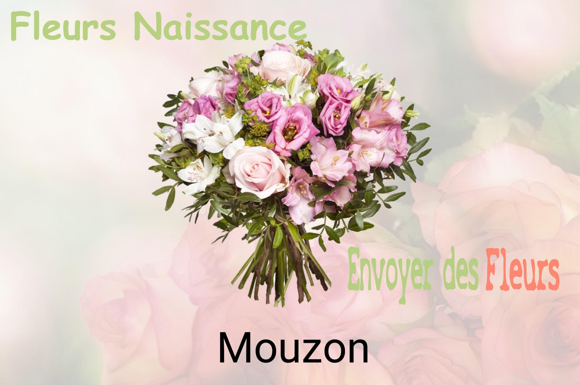 Bouquet de fleurs de naissance livré à Mouzon